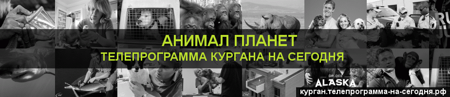 Телепрограмма на сегодня канала Анимал Планет, Курган