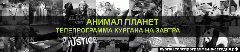 Телепрограмма на завтра канала Анимал Планет, Курган