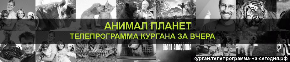 Телепрограмма за вчера канала Анимал Планет, Курган
