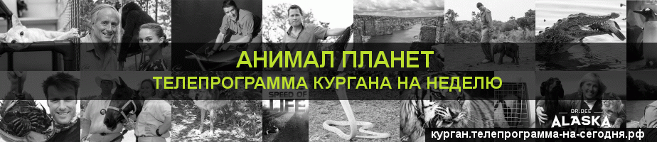 Телепрограмма на неделю канала Анимал Планет, Курган