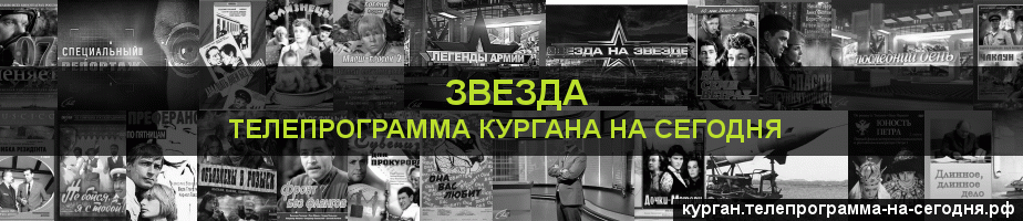Телепрограмма на сегодня канала Звезда, Курган